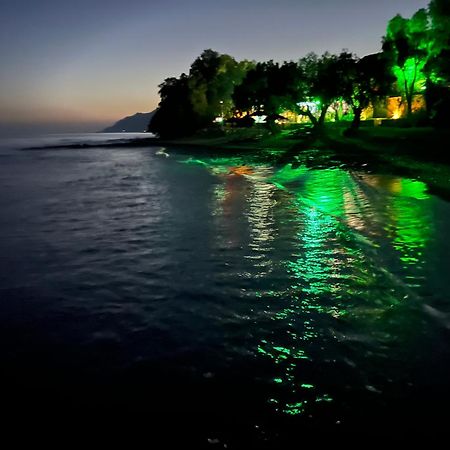 Nikkon Luxury Living Villa Arvi  Bagian luar foto