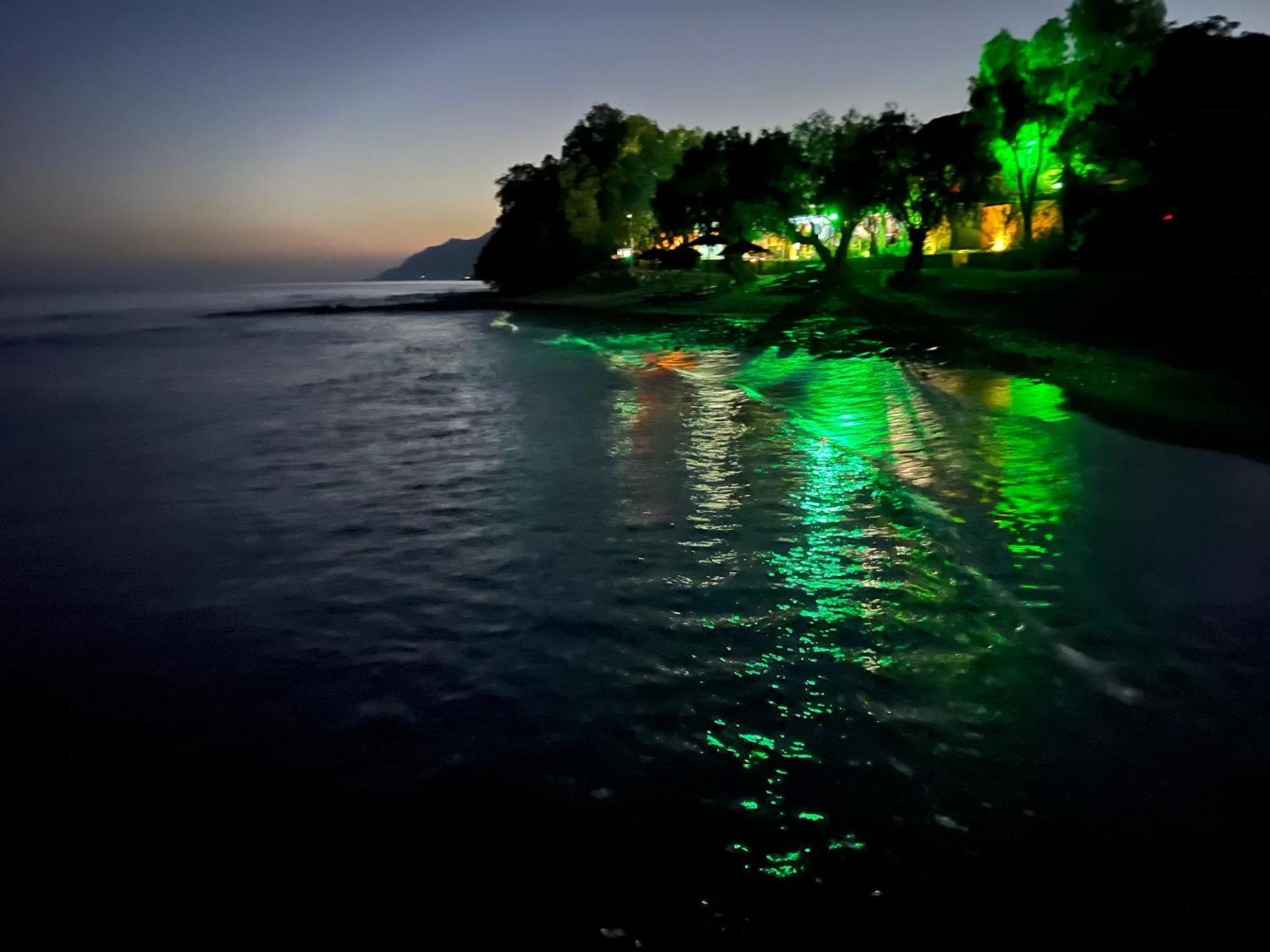 Nikkon Luxury Living Villa Arvi  Bagian luar foto