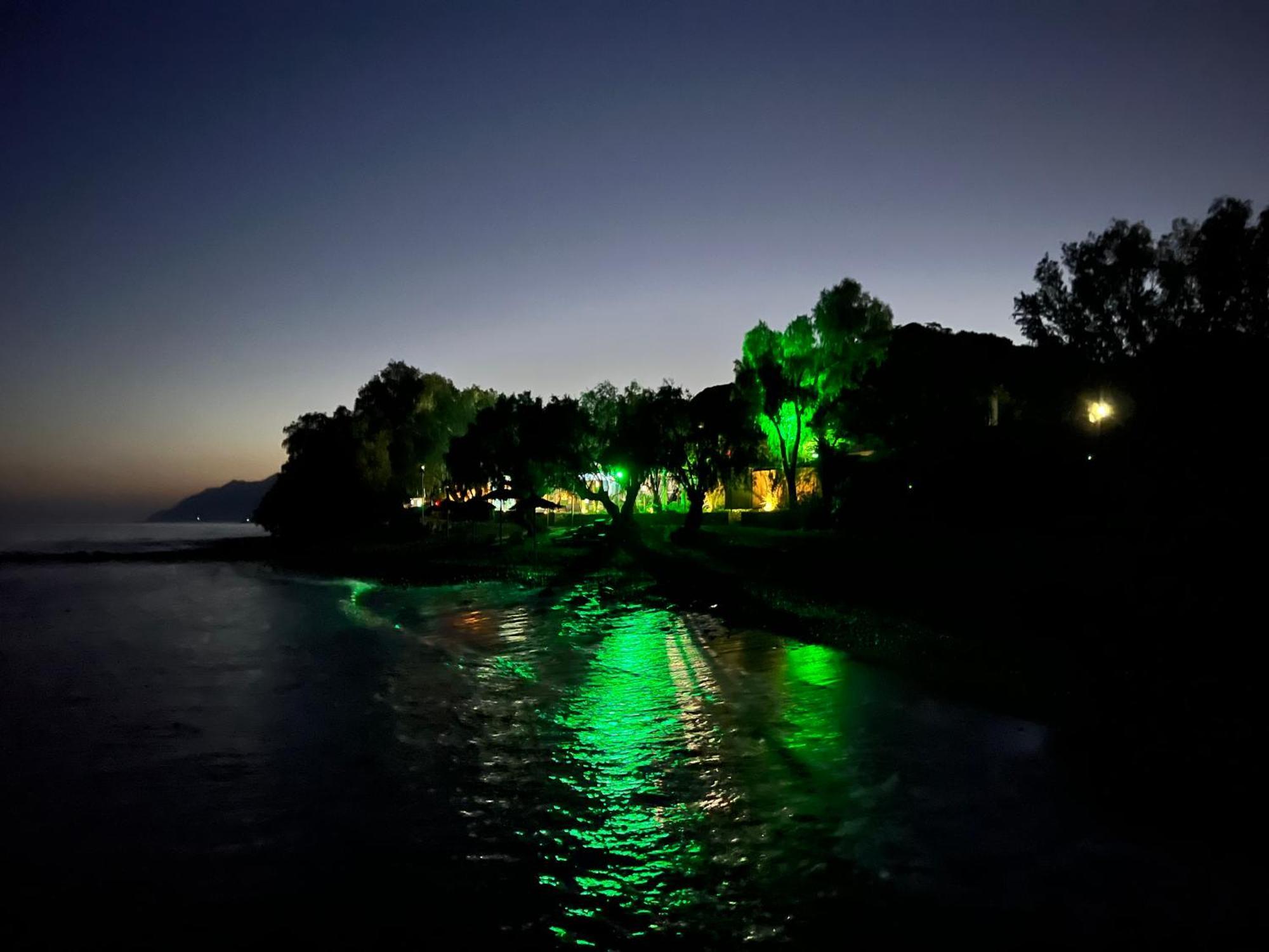 Nikkon Luxury Living Villa Arvi  Bagian luar foto