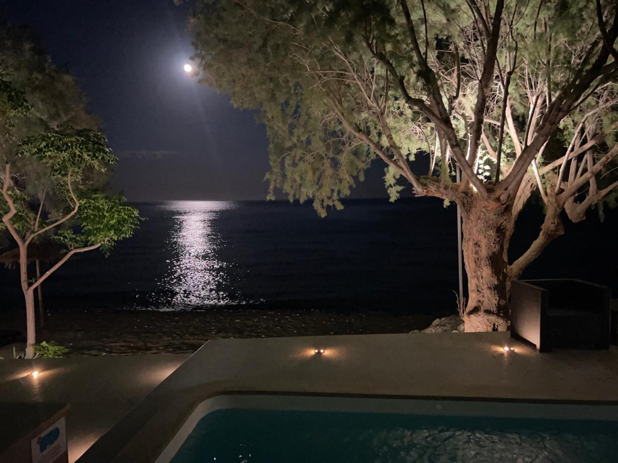 Nikkon Luxury Living Villa Arvi  Bagian luar foto